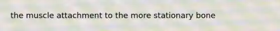 the muscle attachment to the more stationary bone