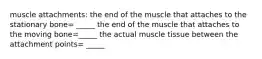 muscle attachments: the end of the muscle that attaches to the stationary bone= _____ the end of the muscle that attaches to the moving bone=_____ the actual muscle tissue between the attachment points= _____