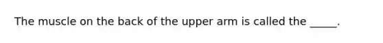 The muscle on the back of the upper arm is called the _____.