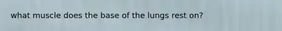 what muscle does the base of the lungs rest on?