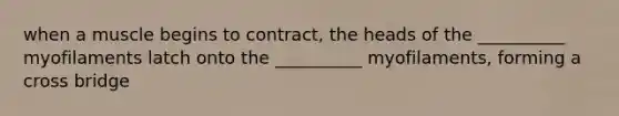when a muscle begins to contract, the heads of the __________ myofilaments latch onto the __________ myofilaments, forming a cross bridge