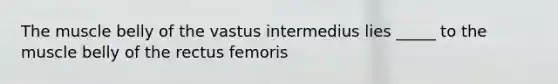 The muscle belly of the vastus intermedius lies _____ to the muscle belly of the rectus femoris