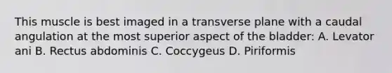 This muscle is best imaged in a transverse plane with a caudal angulation at the most superior aspect of the bladder: A. Levator ani B. Rectus abdominis C. Coccygeus D. Piriformis