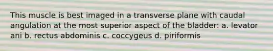 This muscle is best imaged in a transverse plane with caudal angulation at the most superior aspect of the bladder: a. levator ani b. rectus abdominis c. coccygeus d. piriformis