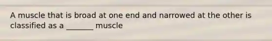 A muscle that is broad at one end and narrowed at the other is classified as a _______ muscle