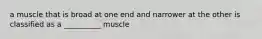 a muscle that is broad at one end and narrower at the other is classified as a __________ muscle