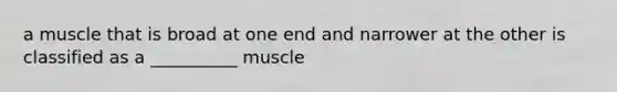 a muscle that is broad at one end and narrower at the other is classified as a __________ muscle