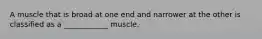 A muscle that is broad at one end and narrower at the other is classified as a ____________ muscle.