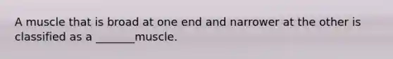 A muscle that is broad at one end and narrower at the other is classified as a _______muscle.