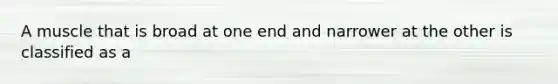 A muscle that is broad at one end and narrower at the other is classified as a