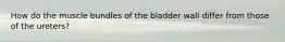 How do the muscle bundles of the bladder wall differ from those of the ureters?