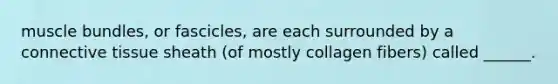 muscle bundles, or fascicles, are each surrounded by a connective tissue sheath (of mostly collagen fibers) called ______.