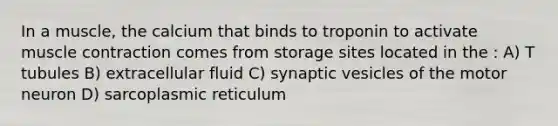 In a muscle, the calcium that binds to troponin to activate muscle contraction comes from storage sites located in the : A) T tubules B) extracellular fluid C) synaptic vesicles of the motor neuron D) sarcoplasmic reticulum