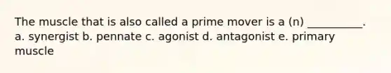 The muscle that is also called a prime mover is a (n) __________. a. synergist b. pennate c. agonist d. antagonist e. primary muscle