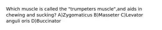 Which muscle is called the "trumpeters muscle",and aids in chewing and sucking? A)Zygomaticus B)Masseter C)Levator anguli oris D)Buccinator