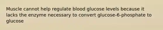 Muscle cannot help regulate blood glucose levels because it lacks the enzyme necessary to convert glucose-6-phosphate to glucose