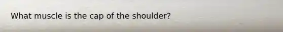 What muscle is the cap of the shoulder?
