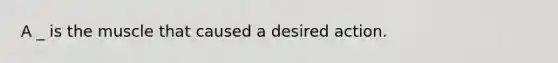 A _ is the muscle that caused a desired action.
