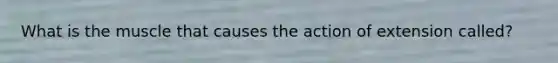 What is the muscle that causes the action of extension called?