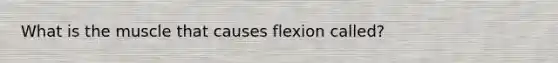 What is the muscle that causes flexion called?