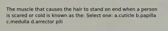 The muscle that causes the hair to stand on end when a person is scared or cold is known as the: Select one: a.cuticle b.papilla c.medulla d.arrector pili