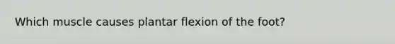 Which muscle causes plantar flexion of the foot?