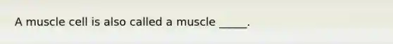 A muscle cell is also called a muscle _____.