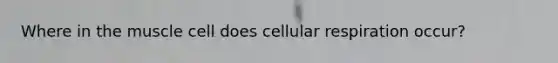 Where in the muscle cell does cellular respiration occur?