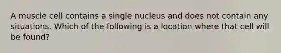 A muscle cell contains a single nucleus and does not contain any situations. Which of the following is a location where that cell will be found?