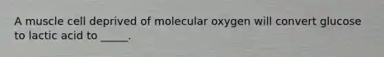 A muscle cell deprived of molecular oxygen will convert glucose to lactic acid to _____.