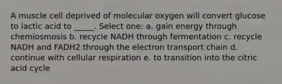 A muscle cell deprived of molecular oxygen will convert glucose to lactic acid to _____. Select one: a. gain energy through chemiosmosis b. recycle NADH through fermentation c. recycle NADH and FADH2 through the electron transport chain d. continue with cellular respiration e. to transition into the citric acid cycle