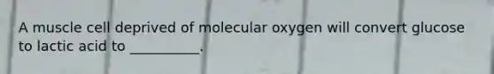 A muscle cell deprived of molecular oxygen will convert glucose to lactic acid to __________.