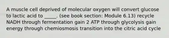 A muscle cell deprived of molecular oxygen will convert glucose to lactic acid to _____. (see book section: Module 6.13) recycle NADH through fermentation gain 2 ATP through glycolysis gain energy through chemiosmosis transition into the citric acid cycle