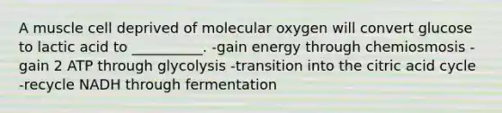 A muscle cell deprived of molecular oxygen will convert glucose to lactic acid to __________. -gain energy through chemiosmosis -gain 2 ATP through glycolysis -transition into the citric acid cycle -recycle NADH through fermentation