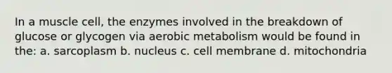 In a muscle cell, the enzymes involved in the breakdown of glucose or glycogen via aerobic metabolism would be found in the: a. sarcoplasm b. nucleus c. cell membrane d. mitochondria