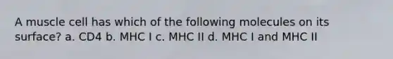 A muscle cell has which of the following molecules on its surface? a. CD4 b. MHC I c. MHC II d. MHC I and MHC II