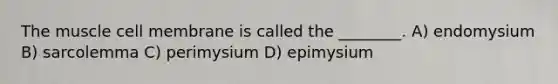 The muscle cell membrane is called the ________. A) endomysium B) sarcolemma C) perimysium D) epimysium