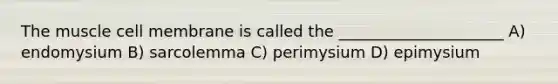 The muscle cell membrane is called the _____________________ A) endomysium B) sarcolemma C) perimysium D) epimysium