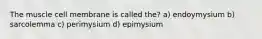 The muscle cell membrane is called the? a) endoymysium b) sarcolemma c) perimysium d) epimysium