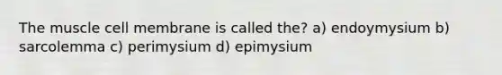 The muscle cell membrane is called the? a) endoymysium b) sarcolemma c) perimysium d) epimysium