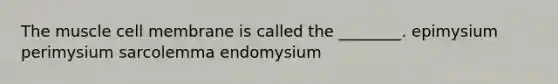 The muscle cell membrane is called the ________. epimysium perimysium sarcolemma endomysium