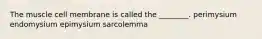 The muscle cell membrane is called the ________. perimysium endomysium epimysium sarcolemma