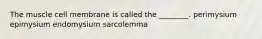 The muscle cell membrane is called the ________. perimysium epimysium endomysium sarcolemma