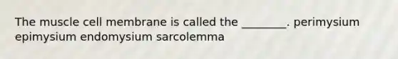 The muscle cell membrane is called the ________. perimysium epimysium endomysium sarcolemma