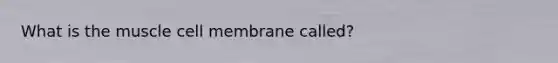 What is the muscle cell membrane called?