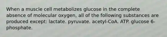 When a muscle cell metabolizes glucose in the complete absence of molecular oxygen, all of the following substances are produced except: lactate. pyruvate. acetyl-CoA. ATP. glucose 6-phosphate.