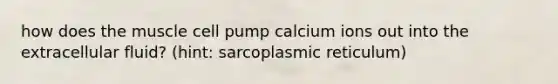 how does the muscle cell pump calcium ions out into the extracellular fluid? (hint: sarcoplasmic reticulum)