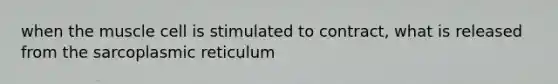 when the muscle cell is stimulated to contract, what is released from the sarcoplasmic reticulum