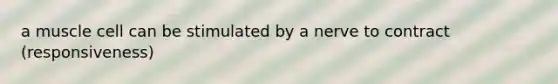 a muscle cell can be stimulated by a nerve to contract (responsiveness)