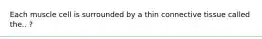 Each muscle cell is surrounded by a thin connective tissue called the.. ?